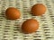 Brown eggs of light color prepare for the holiday Easter against the background from a white rope and dark branches of a