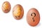 Brown eggs with painted chickens and question mark