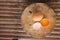 Brown eggs on a wooden chopping board There is a yolk in the egg shell. The brown egg has a drop of water because it is removing