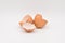 Brown Eggshells on a White Background