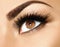 Brown eye makeup closeup