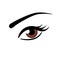 Brown eye vector illustration. Single human eye symbol for web or print. Contact lenses in brown color