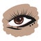 Brown eye on a white background. Womans eye. Eye makeup. Graphics. Icon, logo.