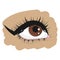 Brown eye on a white Brown eye on a white background. Womans eye. Eye makeup. Graphics. Icon, logo. Isolated vector illustration
