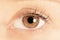 Brown eye of a young woman. Close-up. Focus on iris