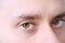 Brown eyes of a young man close up, human vision concept, optic nerve health, nervous tic, myopia, hyperopia, vision test