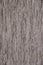 Brown fabric wallpaper with vertical pattern. Thread texture.