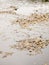 brown fallen autumn leaves gathering on top of grey overcast lake surface