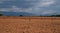 Brown farmland soil close-up in Provence in France