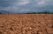 Brown farmland soil close-up in Provence in France