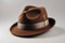 Brown felt trilby hat on a white background