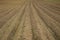 A brown field with ploughed rows of dirt