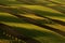 Brown fields with green belts of trees and grass in spring waves