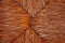 Brown figured straw wickerwork texture