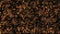 Brown floating cyber squares on black background loop. Slow chaotic pixels mosaic seamless animation