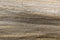 Brown floorboard, background for designers, wood texture