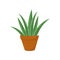 Brown flowerpot with aloe vera. Green medical plant. Houseplant for interior. Flat vector element for home decor or