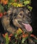 Brown fluffy mongrel dog on autumn background