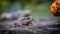 Brown forest frog sitting on a wet tree trunk