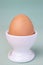 Brown fresh egg in ceramic white eggcup stand on blue background macro