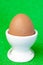 Brown fresh egg in ceramic white eggcup stand on bright green background macro