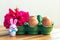 Brown fresh eggs with smiling faces in green tray with hibiscus flower and little Easter Bunny