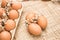 Brown fresh hen`s eggs on textile.