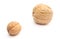 Brown, fresh, small and big walnuts on white background