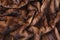 Brown fur mink background texture