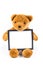 Brown fuzzy teddy bear holding a black frame