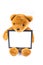 Brown fuzzy teddy bear holding a black frame