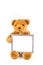 Brown fuzzy teddy bear holding a grey frame