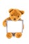 Brown fuzzy teddy bear holding a grey frame