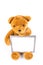 Brown fuzzy teddy bear holding a grey frame