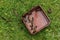 Brown garden slugs in a brown plastic box in the grass