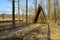 Brown gazebo in the forest