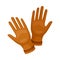 Brown gloves for women. Vector illustration on a white background.