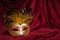 Brown golden venetian carnival mask on a draped red velvet theater curtain