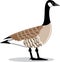 Brown Goose vector Stylized