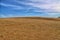 Brown grassy pasture by the blue cloudy sky