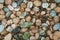 Brown, Gray, White, Green Pebble Stones for Background