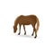 Brown grazing horse isolated image in a flat style. Vector.