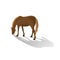 Brown grazing horse isolated image in a flat style. Vector.