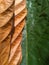 Brown and green leaf texture