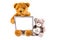 Brown and grey fuzzy teddy bears with a grey frame