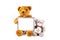 Brown and grey fuzzy teddy bears with a grey frame