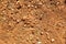 Brown ground background