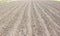 Brown ground plowed field, harrow lines. Arable background. A freshly ploughed field