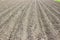 Brown ground plowed field, harrow lines. Arable background. A freshly ploughed field