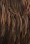 Brown hair texture